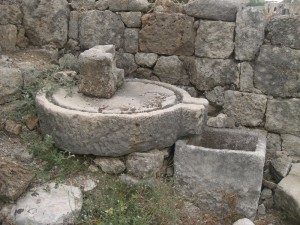 wine press from ancient Israel 