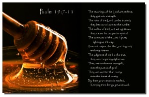psalm1911-17